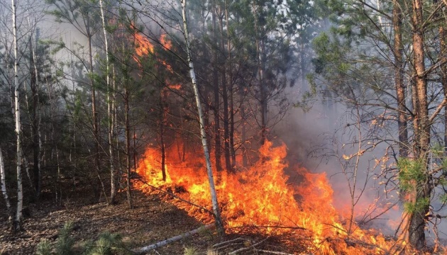 Hot weather raises extreme fire danger in some regions of Ukraine