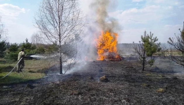 На Житомирщині горить 15 гектарів лісу