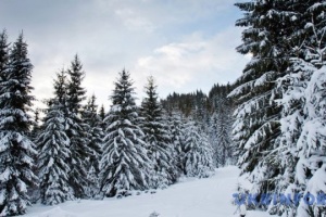 プリカルパッチャ地方に季節はずれの降雪