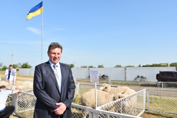 На Херсонщині розводять бройлерних ягнят асканійської селекції