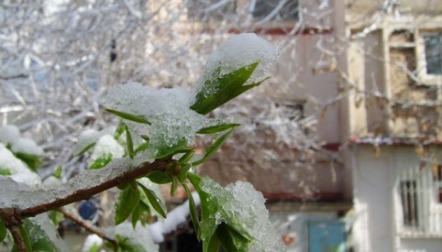 В Україні трохи потепліє, подекуди дощ та мокрий сніг
