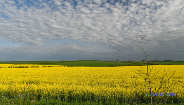 In der Ukraine fast 40 Prozent geplanter Flächen mit Sommerkulturen besät