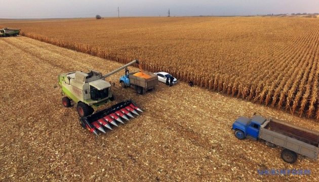 В Україні зібрали близько 51 мільйона тонн зернових