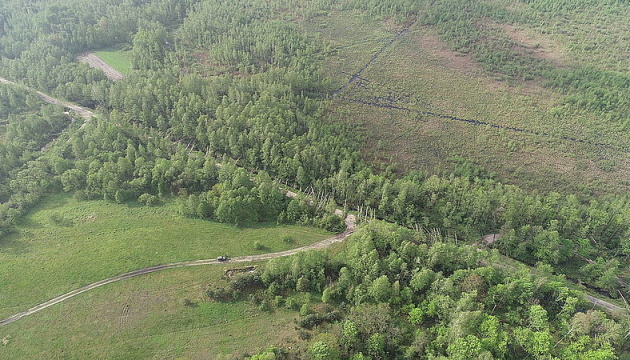 На Житомирщині буревій знищив 100 гектарів лісу