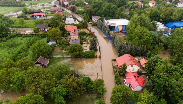 У Польщі негода повалила дерева та підтопила будинки