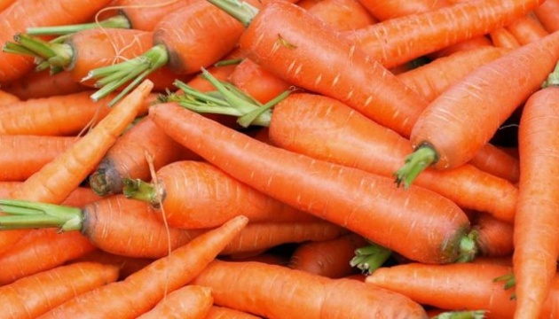 Ціни на моркву почали падати після історичного максимуму в цьому сезоні - експерти