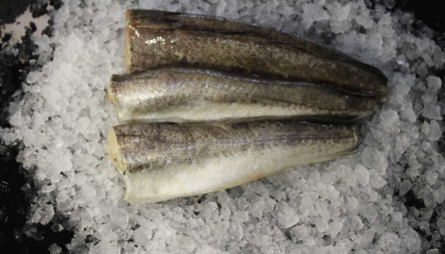 У чотирьох дитсадках Чернівців виявили заражену гельмінтами рибу