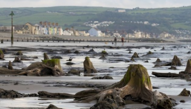 В Уельсі ураган підняв з моря доісторичний ліс