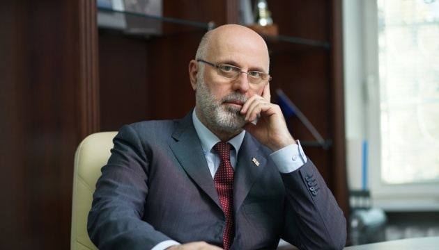 Екс-посол Грузії просить Зеленського надати йому українське громадянство