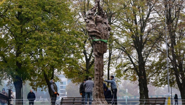 Ужгородська міськрада не підтримала перенесення пам'ятника жертвам Голодомору
