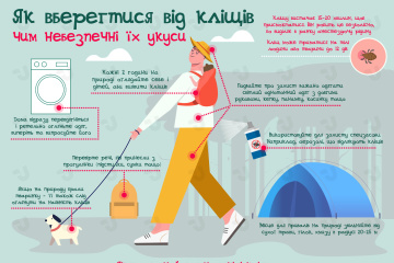 Как уберечься от клещей и чем опасны их укусы. Инфографика