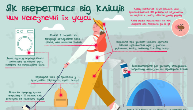 Как уберечься от клещей и чем опасны их укусы. Инфографика Как уберечься от клещей и чем опасны их укусы. Инфографика
