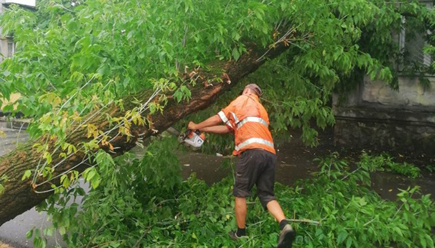 Unwetter über Kyjiw: Umgestürzte Bäume und Überschwemmungen