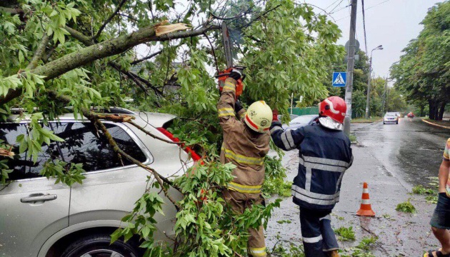 Bad weather leaves 211 towns and villages in Ukraine without electricity