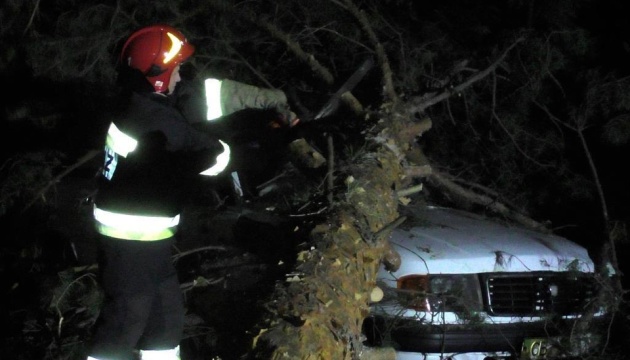 На Чернігівщині повалені буревієм дерева заблокували міжнародну трасу