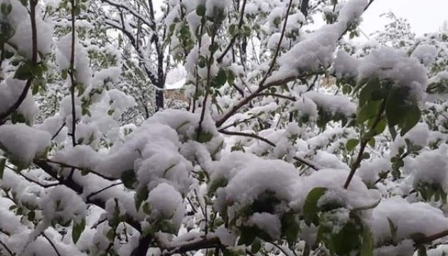 В Азербайджані випав сніг