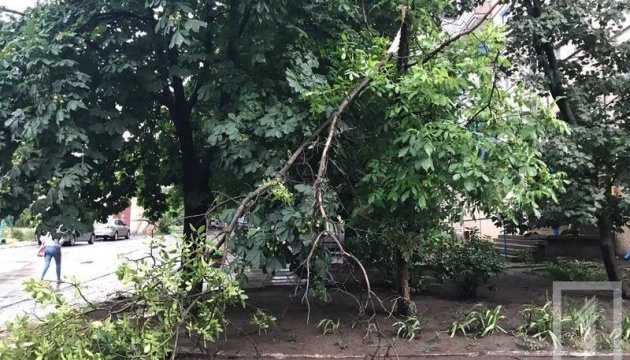 Буревій у Кривому Розі повалив сотні дерев і пошкодив дахи