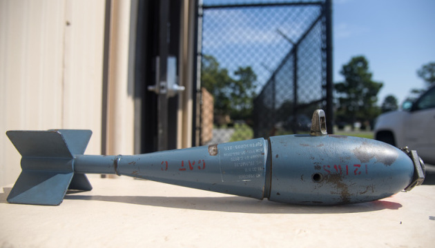Штурмовик США скинув навчальні снаряди над Флоридою через зіткнення з птахом