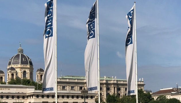 Ukraine calls on OSCE participating states to join Crimean Platform