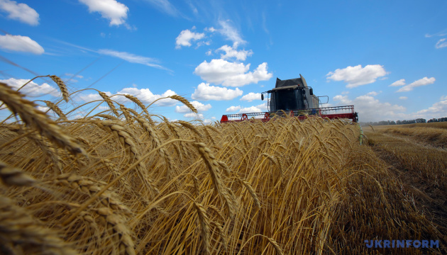 Harvesting of early grain crops completed in Odesa Region