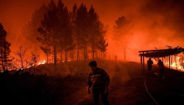 У Португалії вирують пожежі: десятки постраждалих
