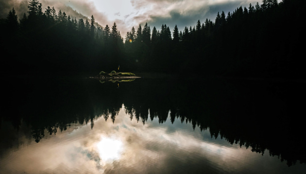 На Київщині групу осіб викрили у шахрайських схемах із землею на понад ₴50 мільйонів
