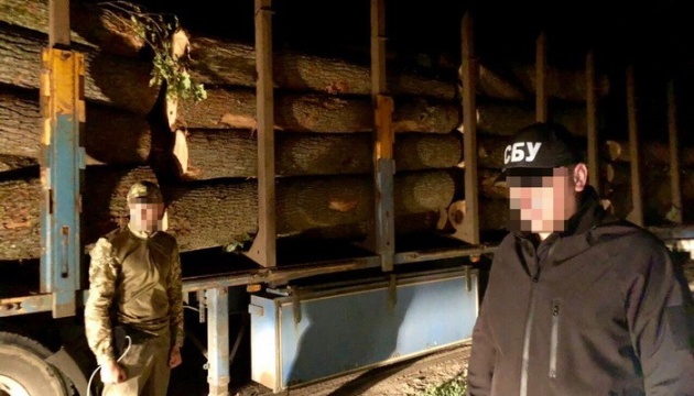 На Харківщині викрили масштабне розкрадання деревини з держлісництв