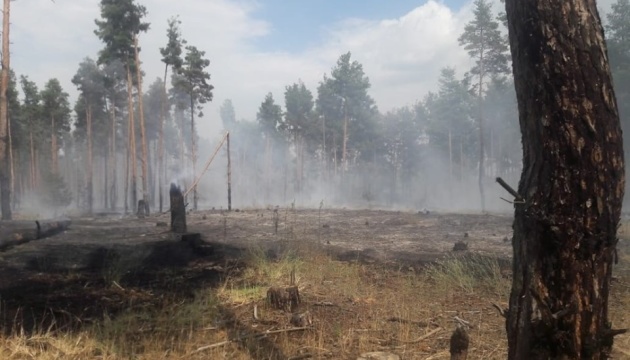 На Херсонщині сталася лісова пожежа
