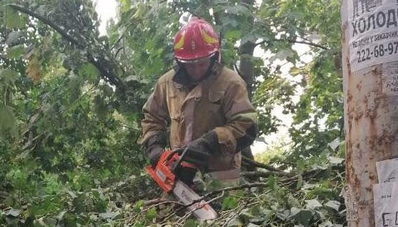 Рятувальники шість разів виїжджали прибирати повалені дерева з доріг та авто