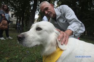 Des chiens aux bandanas jaunes «soignent» l'âme des vétérans