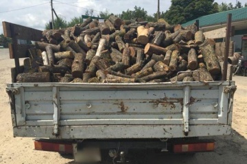 Херсонська поліція відправляє на штрафмайданчик транспорт з підозрілою деревиною