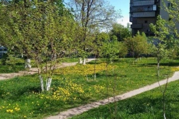Киевлянам вернули участок, где должен быть сквер имени Шаповала