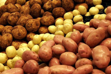 Ukraine negotiating potato export to EU