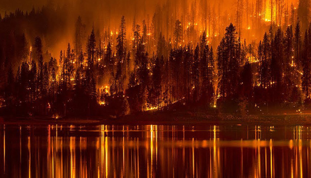 Лісові пожежі в Сибіру: військові загасили 750 гектарів