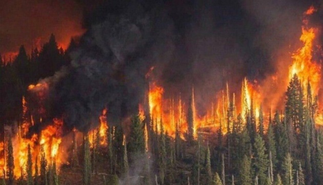 Дим пожеж у Сибіру вже накрив понад 600 населених пунктів РФ