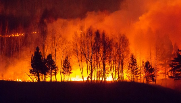 Сибір продовжує горіти: 500 осередків вогню, площа пожежі росте