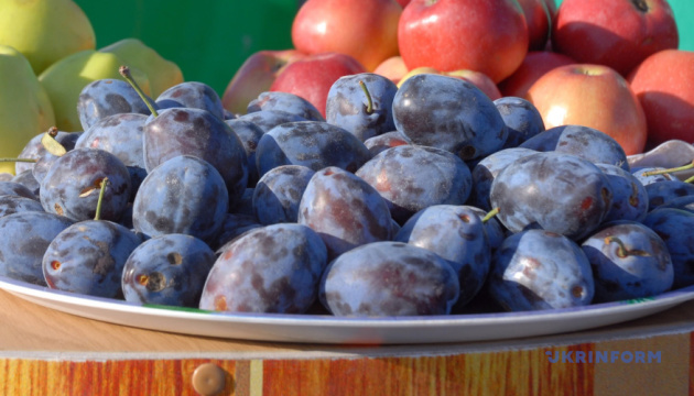 В Україні стрімко знижуються ціни на сливи