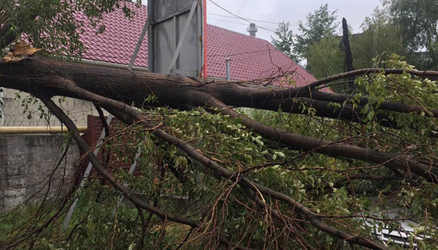 Сильний вітер на Прикарпатті пошкодив покрівлі шкіл, амбулаторій і сільрад