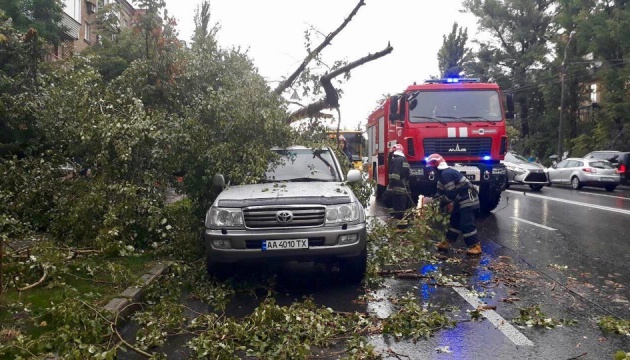 Негода в столиці: дерева падали на авто та трамвайні колії, потерпілих немає