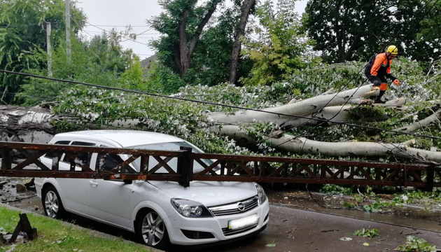 Буревій валив дерева та зривав дахи на Миколаївщині