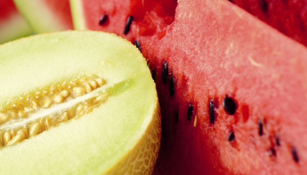 Ukraine exportiert 2020 Rekordmenge an Wasser- und Zuckermelonen
