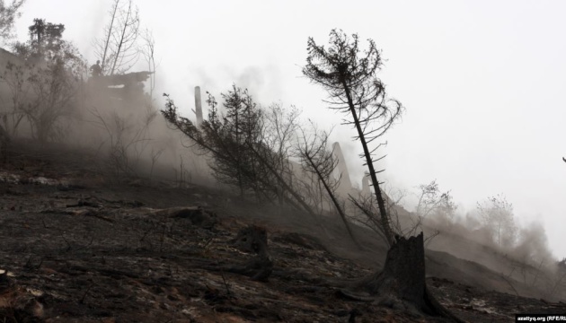 У Казахстані вирує масштабна пожежа