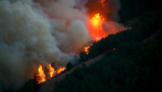 На заході Туреччини третій день гасять лісову пожежу