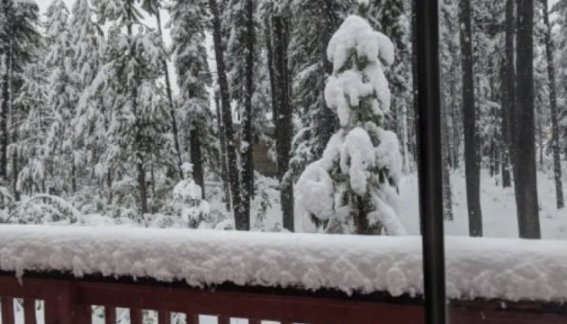 У Канаді пройшов рясний снігопад: випало півметра снігу