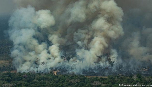 Пожежі в Амазонії: Бразилія відмовилась від $20 мільйонів допомоги G7