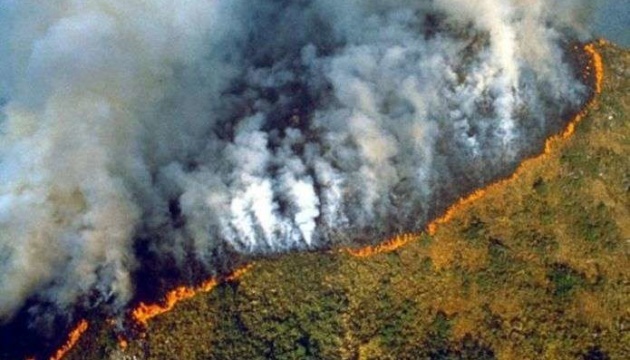 Пожежі в Амазонії: Бразилія прийме допомогу G7 лише після вибачень Макрона