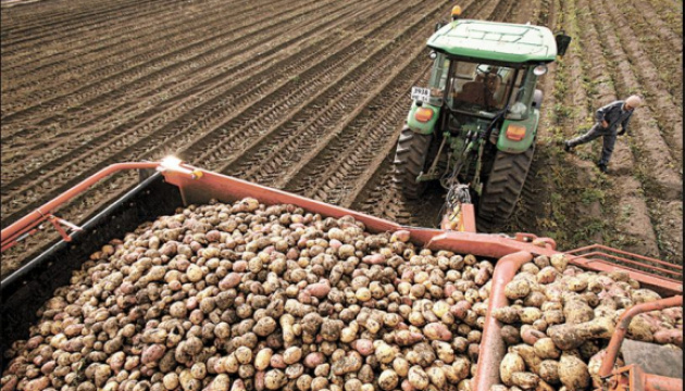 Ucrania se encuentra entre los tres principales países productores de patatas
