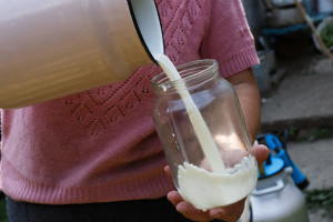 Україна торік збільшила переробку та експорт молока