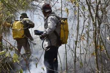 Пожежі у Болівії знищили майже два мільйони гектарів лісу