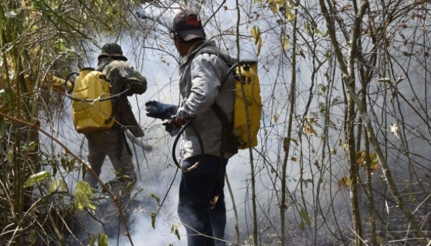 Пожежі у Болівії знищили майже два мільйони гектарів лісу